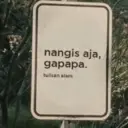 Meme 11
