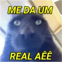 MEMES DIVERSOS E DIVERTIDOS😎 3