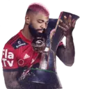 FLA CAMPEÃO BR20 1