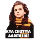 Harry potter 13