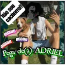 Não sou
miauu
cachorro!!
miauu
miauu
Pega ele(a) ADRIEL