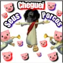 Cheguei
Seus
Porcos
