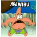 Petrik 1