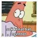 Petrik 8