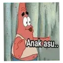 Petrik 13