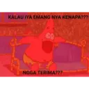 Petrik 15