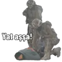 Polis 4