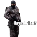 Polis 5