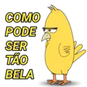 Apaixonadinhos 5