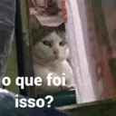 NOVOS MEMES 4