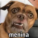NOVOS MEMES 6