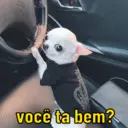 NOVOS MEMES 8