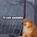 NOVOS MEMES 9