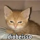 NOVOS MEMES 13