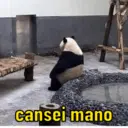 NOVOS MEMES 15