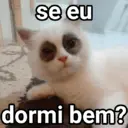 Só memes 15