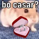 PRA TUA PAIXÃ❤️ 12