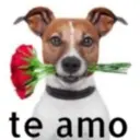PRA TUA PAIXÃ❤️ 15