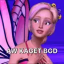 Barbie 13