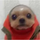 REAÇÕES 👀 13