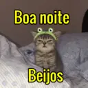 Memes necessários👑🔥 3
