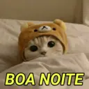 REAÇÕES DE AMOR ❤️❤️❤️ 12