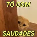 REAÇÕES DE AMOR ❤️❤️❤️ 15