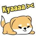 Kyaaaax