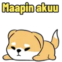 Maapin akuu