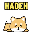 HADEH 오