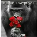 B.3 goril pack 1