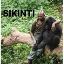 B.3 goril pack 2