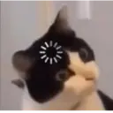 Reações e deboche🤣 15