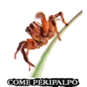 Animales 22