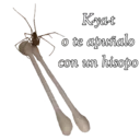 Animales 24
