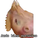 Animales 26