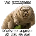Animales 29
