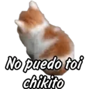 Memes pa’ enviar Randoms 😈 13