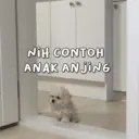 KATA-KATA ESTETOK 14