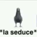 *la seduce*