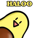 HALOO
43
