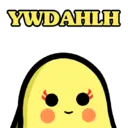 YWDAHLH
