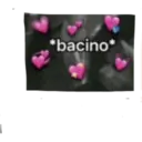 *bacino*