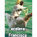 acelera
Francisca