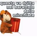 questa va dritta
nel barattolo
delle
minchiate