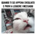 QUANDO TI SEI APPENA SVEGLIATO E PROVI A LEGGERE I MESSAGGI ScuolaZOO