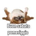 Buon sabato pomeriggio