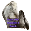 Grazie a Dio! Finalmente è Venerdì