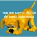 vou me curvar diante de tanta sabedoria