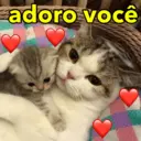 adoro você